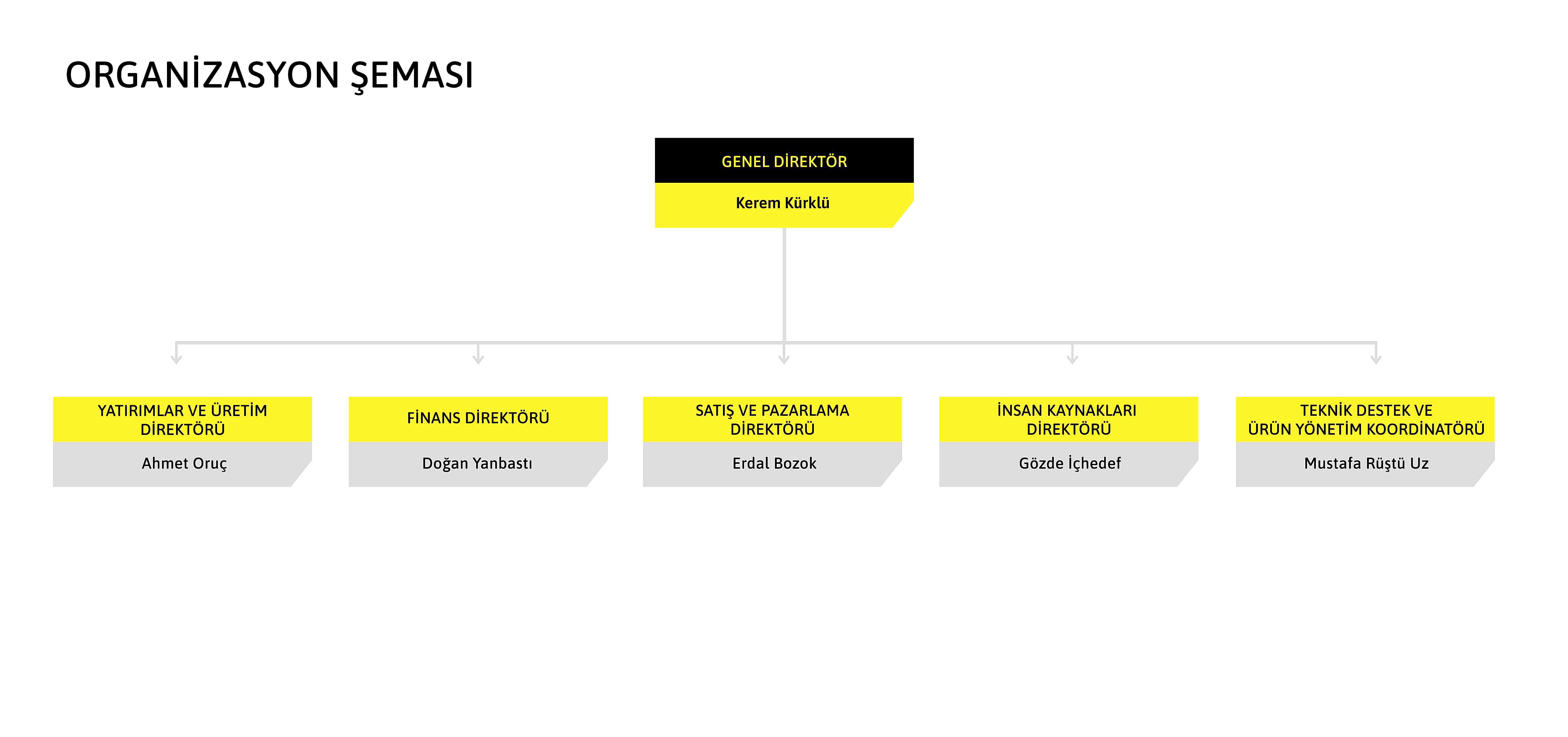 Organizasyon