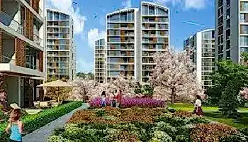 Resim İstanbul Orman